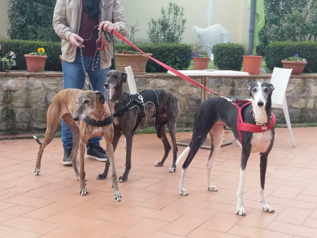 Casale Dei Cento Acri Florença Exterior foto